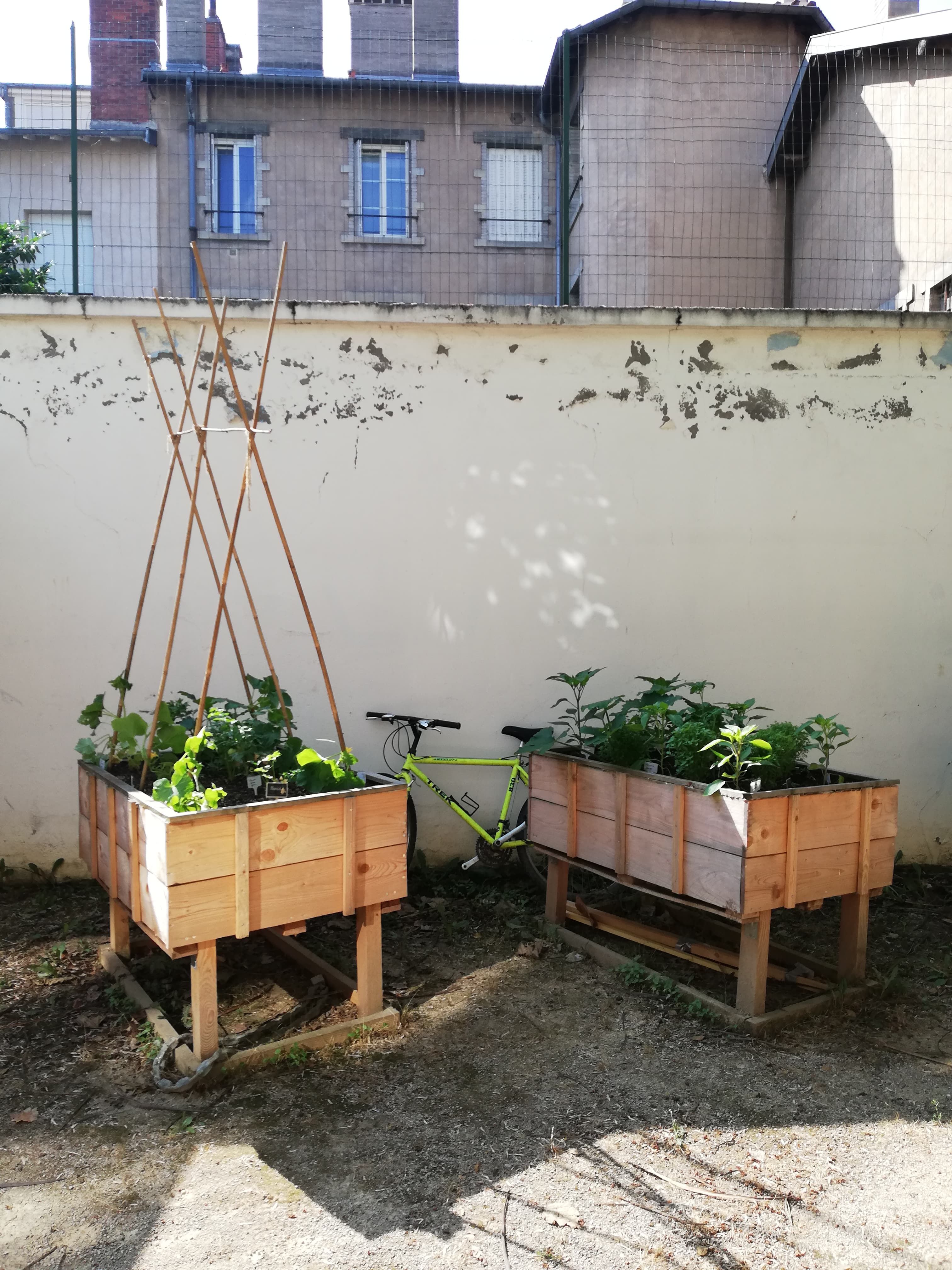 Bacs de cultures - Foyer des Jeunes Travailleurs Les Abeilles