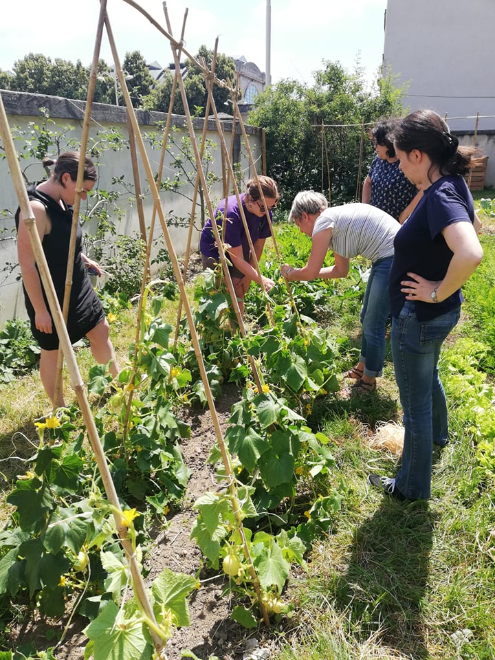 Le jardin partagé du Conseil Départemental (54)