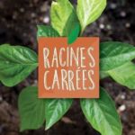 Racines Carrées